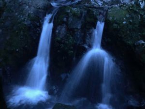 IMG_1680