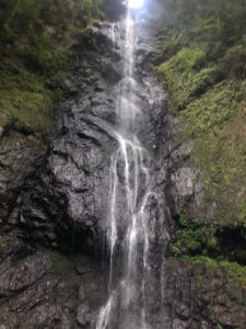 IMG_2335