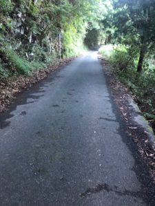 IMG_2442
