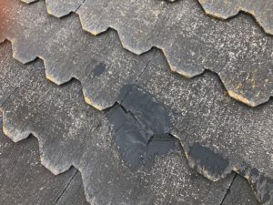IMG_3505