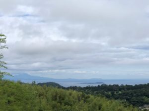IMG_7236