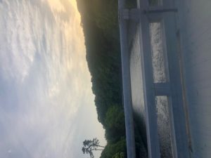 IMG_1924