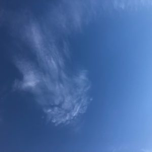 IMG_1929