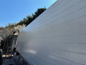 IMG_3010