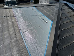 IMG_3784