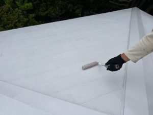 IMG_4570