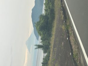 IMG_4710