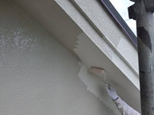 IMG_4966