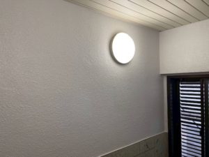 IMG_6294