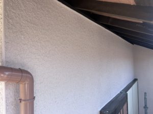 IMG_3833