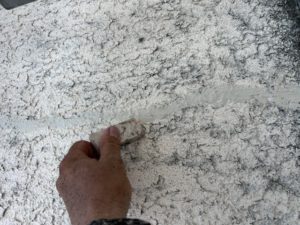 IMG_4178
