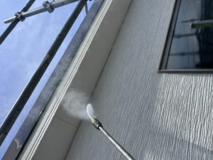 IMG_4255