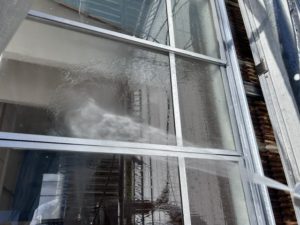 IMG_4291