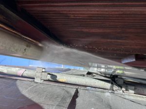 IMG_4296