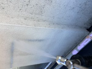 IMG_4299