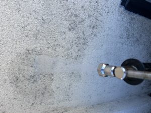 IMG_4300