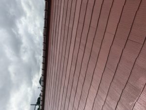 IMG_0072