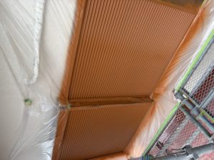 IMG_0081