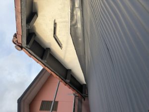 IMG_0111