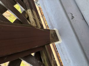IMG_0121