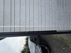 IMG_0165