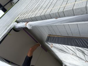 IMG_0228