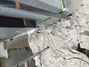 IMG_0229