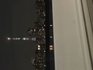 IMG_0267