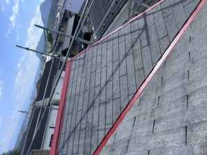 IMG_4447